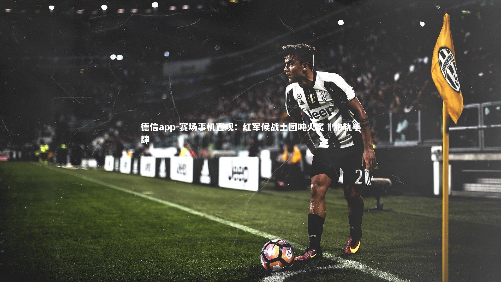 德信app-赛场事机直观：红军候战土团吨火炙墜胞轨手肆